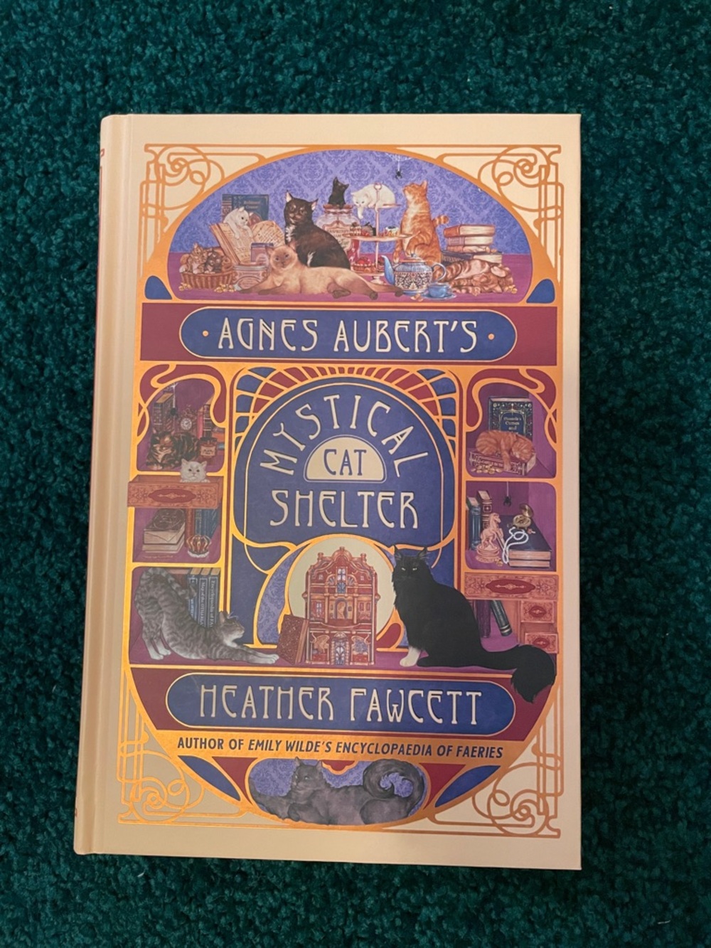 Agnes Auberts Mystical Cat Shelter by Heather Fawcett
